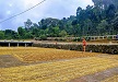 cafe albania slide